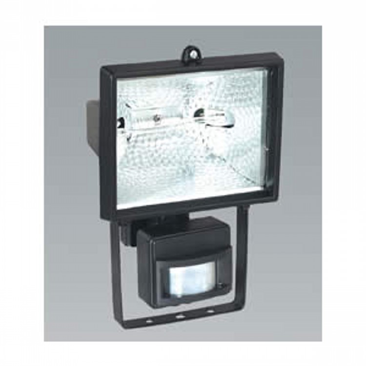 Halogen Floodlight